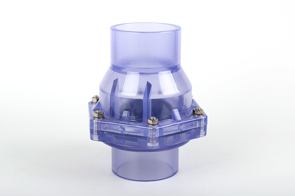 龙文透明翻板式止回阀